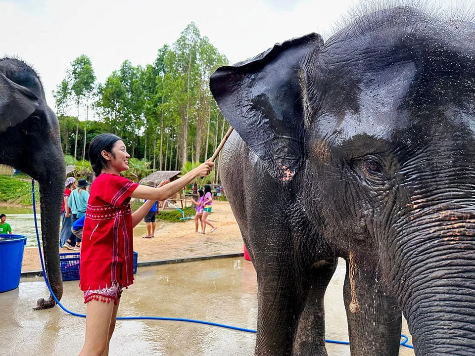 ภูเก็ตให้อาหาร-อาบน้ำช้าง-ปางช้าง-Kerchor-Elephant-Family-7