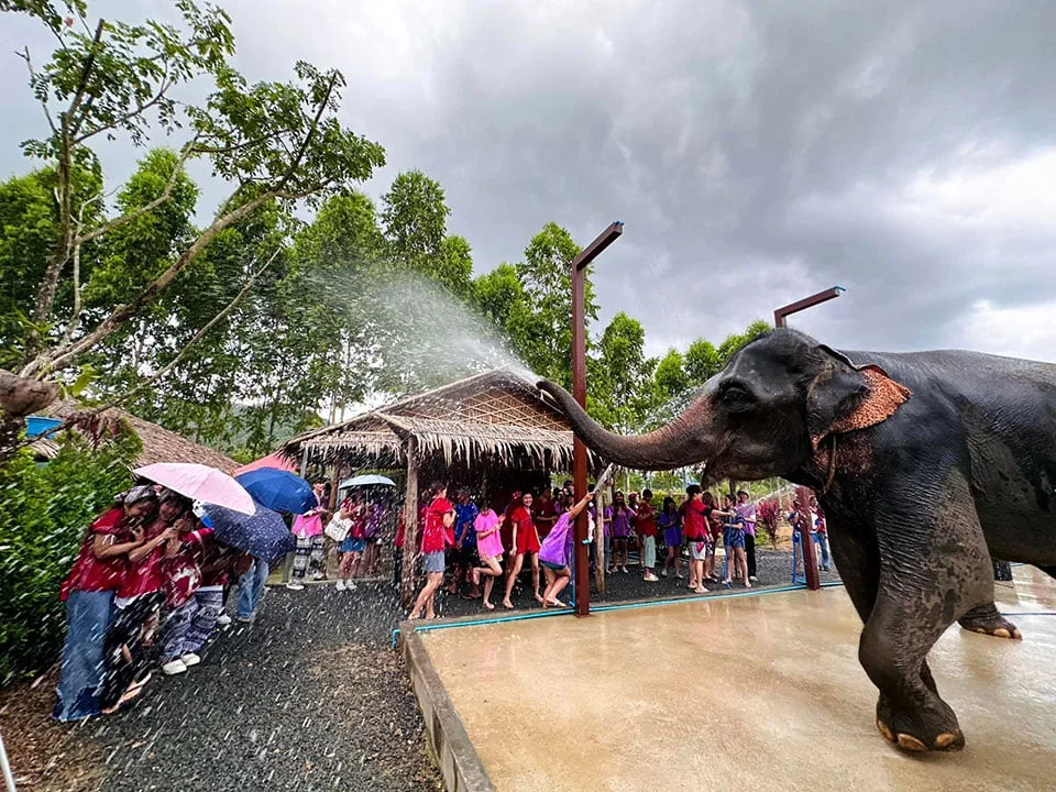 ภูเก็ตให้อาหาร-อาบน้ำช้าง-ปางช้าง-Kerchor-Elephant-Family-9