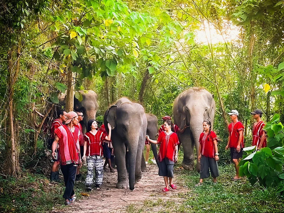 ภูเก็ตให้อาหาร-อาบน้ำช้าง-ปางช้าง-Kerchor-Elephant-Family