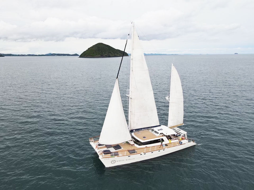 ภูเก็ต-เช่าเรือยอร์ช-สุดหรู-เรือใบคาตามารัน-ลำใหญ่--White-Marlin