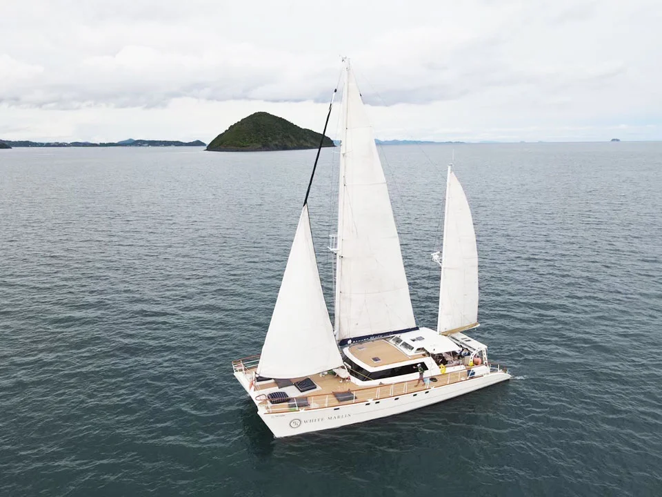 ภูเก็ต-เช่าเรือยอร์ช-สุดหรู-เรือใบคาตามารัน-ลำใหญ่--White-Marlin