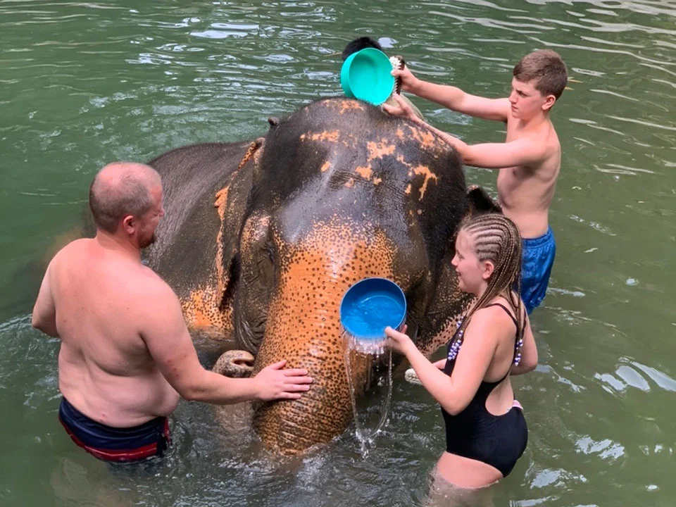 พังงา-เขาหลัก-ให้อาหาร-อาบน้ำช้าง-Elephant-Jungle-Sanctuary-14