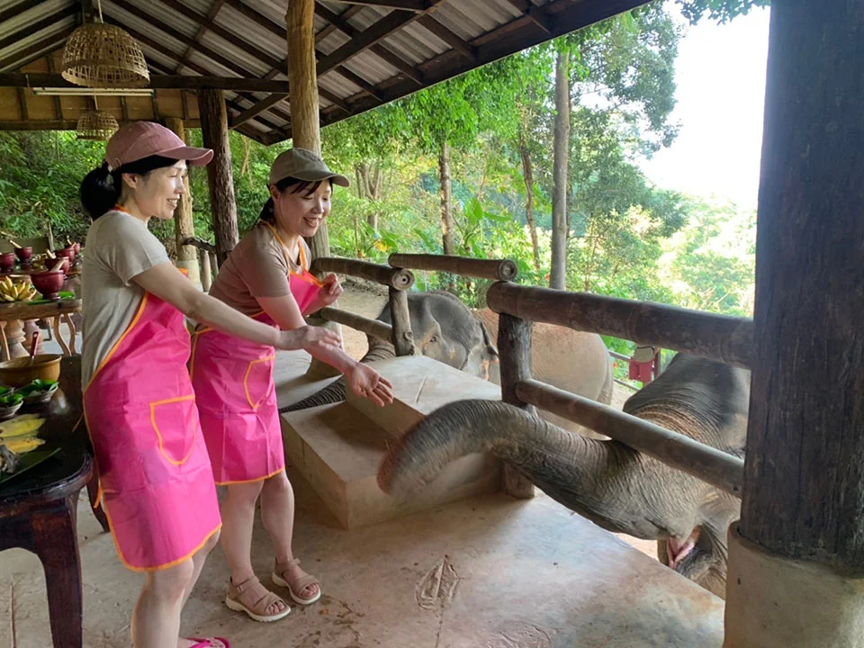พังงา-เขาหลัก-ให้อาหาร-อาบน้ำช้าง-Elephant-Jungle-Sanctuary-4