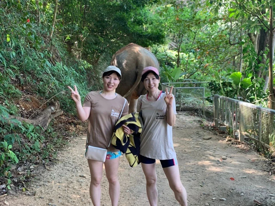 พังงา-เขาหลัก-ให้อาหาร-อาบน้ำช้าง-Elephant-Jungle-Sanctuary-5