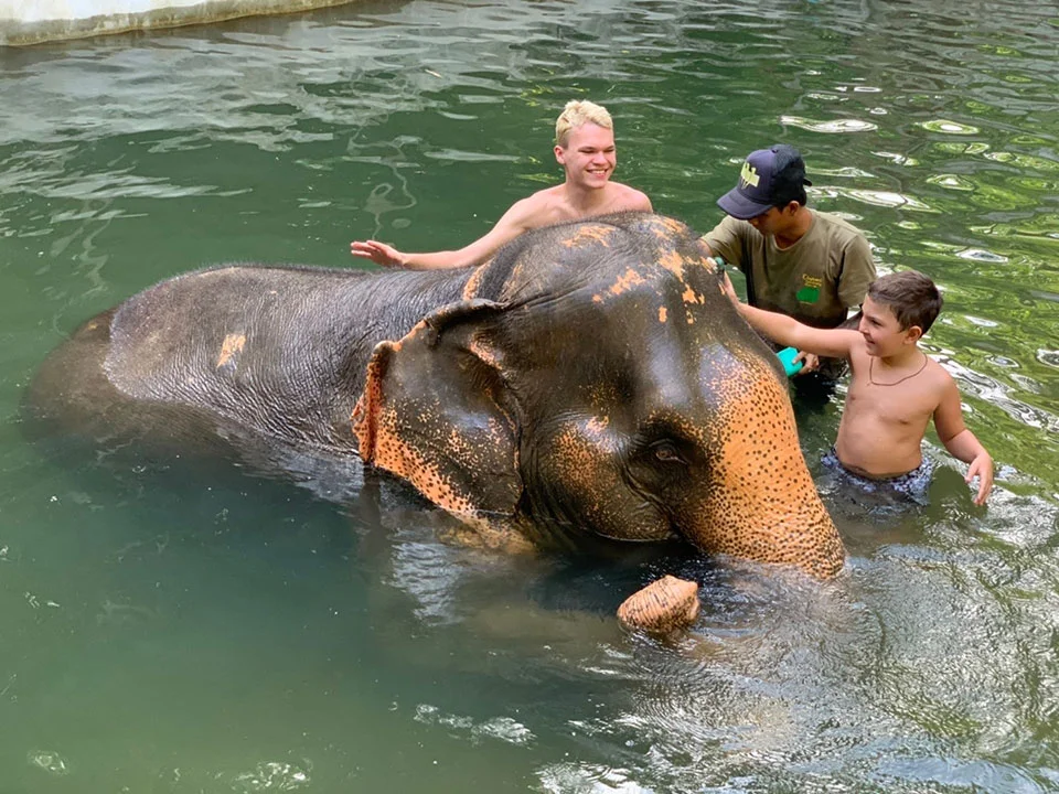 พังงา-เขาหลัก-ให้อาหาร-อาบน้ำช้าง-Elephant-Jungle-Sanctuary-7