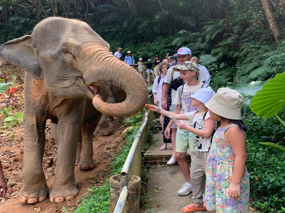 พังงา-เขาหลัก-ให้อาหาร-อาบน้ำช้าง-Elephant-Jungle-Sanctuary