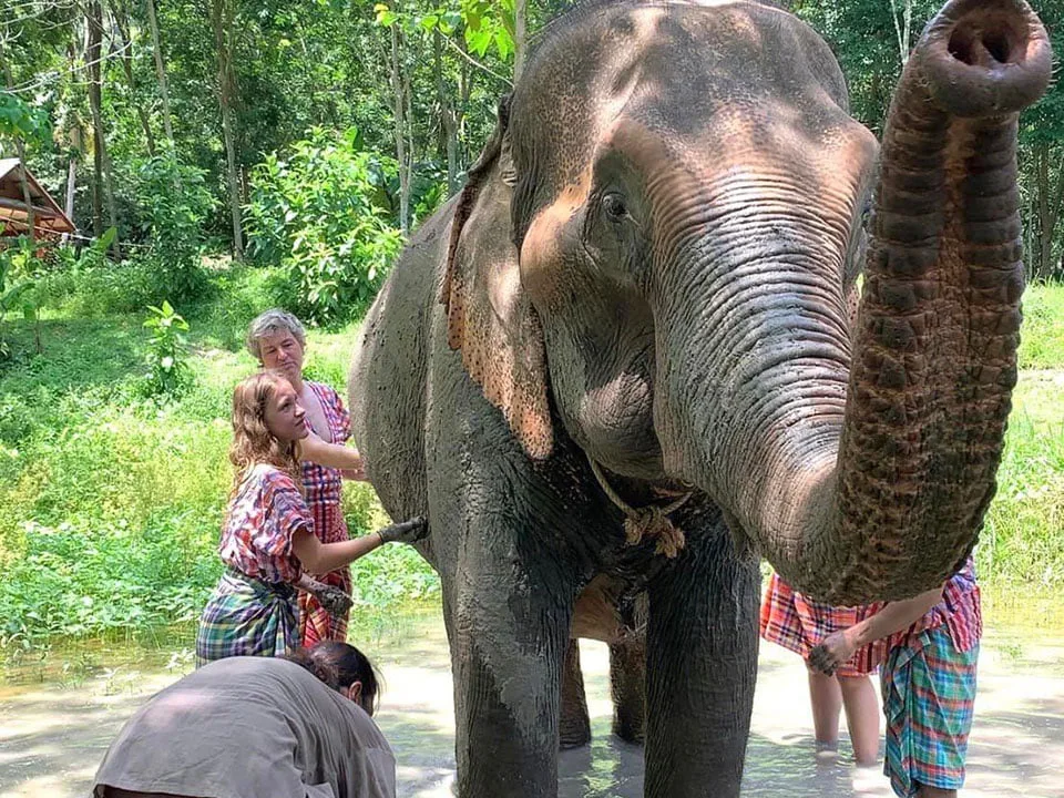 เกาะยาวใหญ่-ทัวร์-ให้อาหาร-อาบน้ำช้าง-Elephant-Care-3