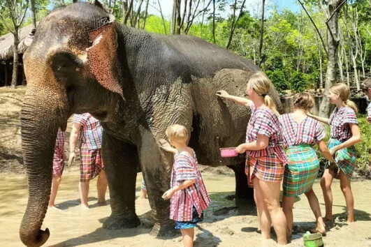 เกาะยาวใหญ่-ทัวร์-ให้อาหาร-อาบน้ำช้าง-Elephant-Care
