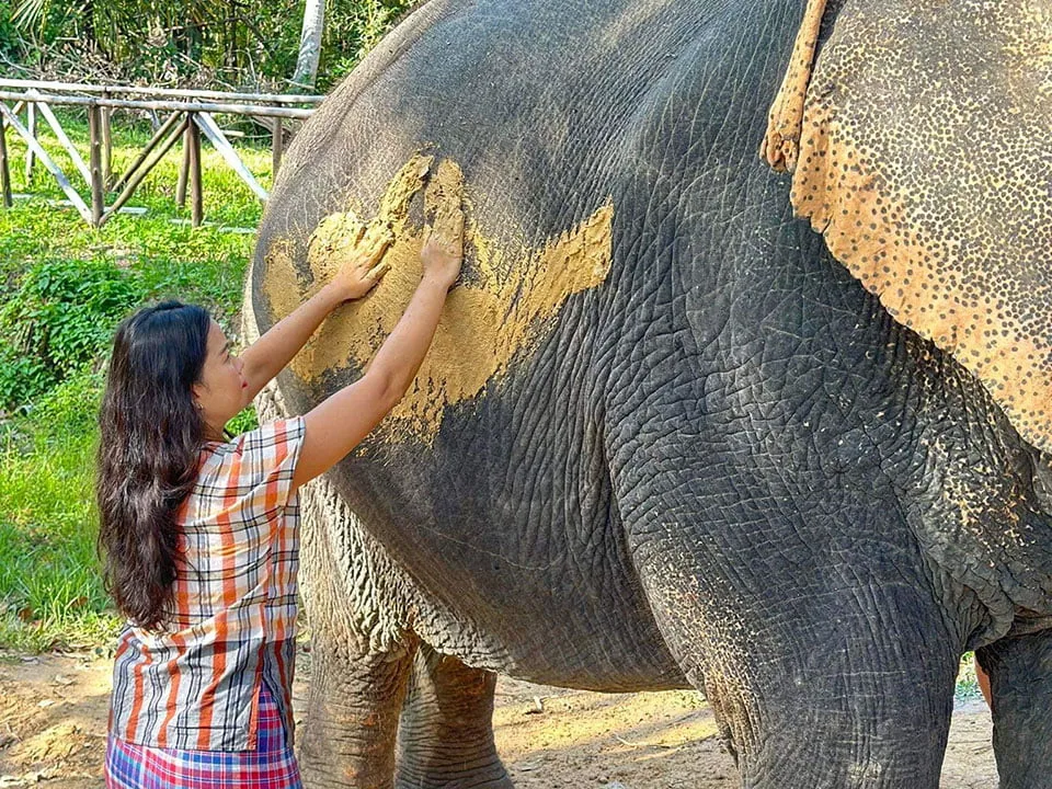 เกาะยาวใหญ่-ทัวร์-ให้อาหาร-อาบน้ำช้าง-Elephant-Care-7