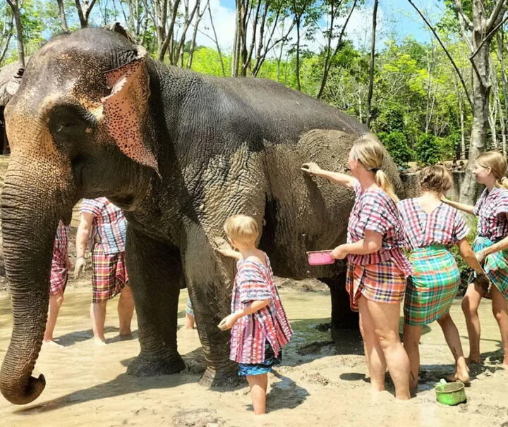 เกาะยาวใหญ่-ทัวร์-ให้อาหาร-อาบน้ำช้าง-Elephant-Care