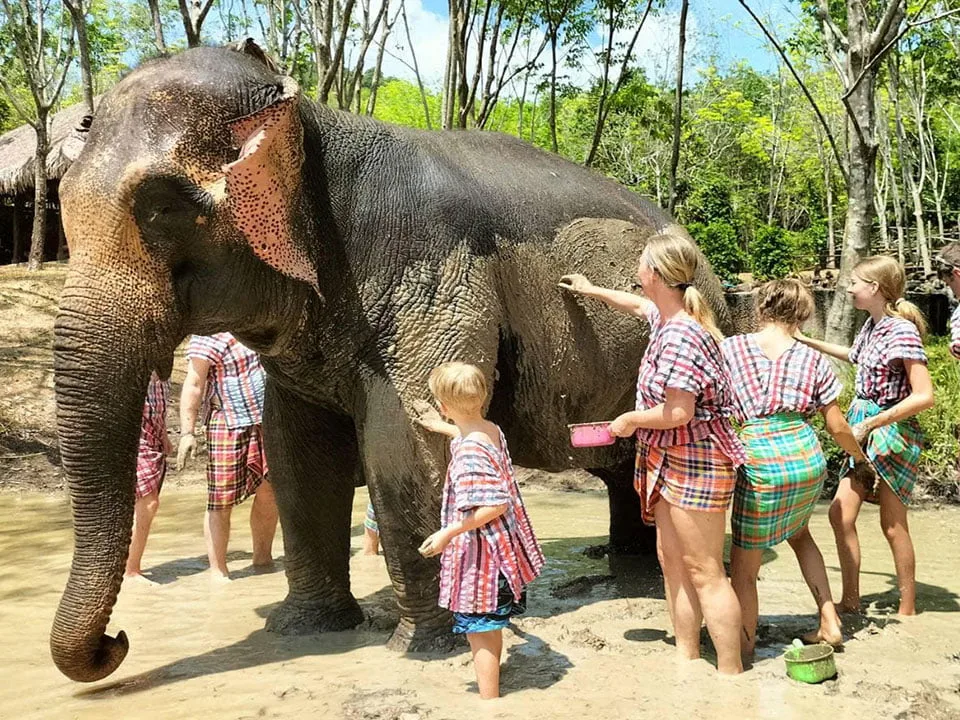 เกาะยาวใหญ่-ทัวร์-ให้อาหาร-อาบน้ำช้าง-Elephant-Care