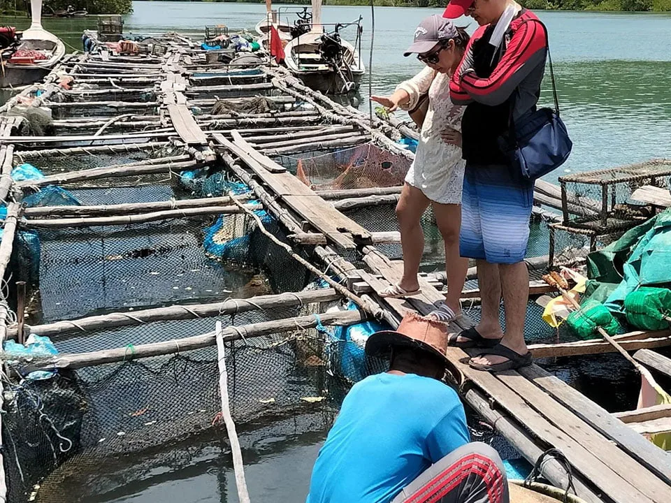 เกาะยาวใหญ่-ทัวร์พายเรือคายัค-ป่าโกงกาง-ฟาร์มกุ้งมังกร-ขี่ควาย-10