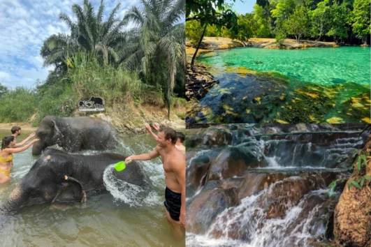 กระบี่-ทัวร์-แคมป์ช้าง-สระมรกต-น้ำตกร้อน-Elephant-House-Sanctuary-2