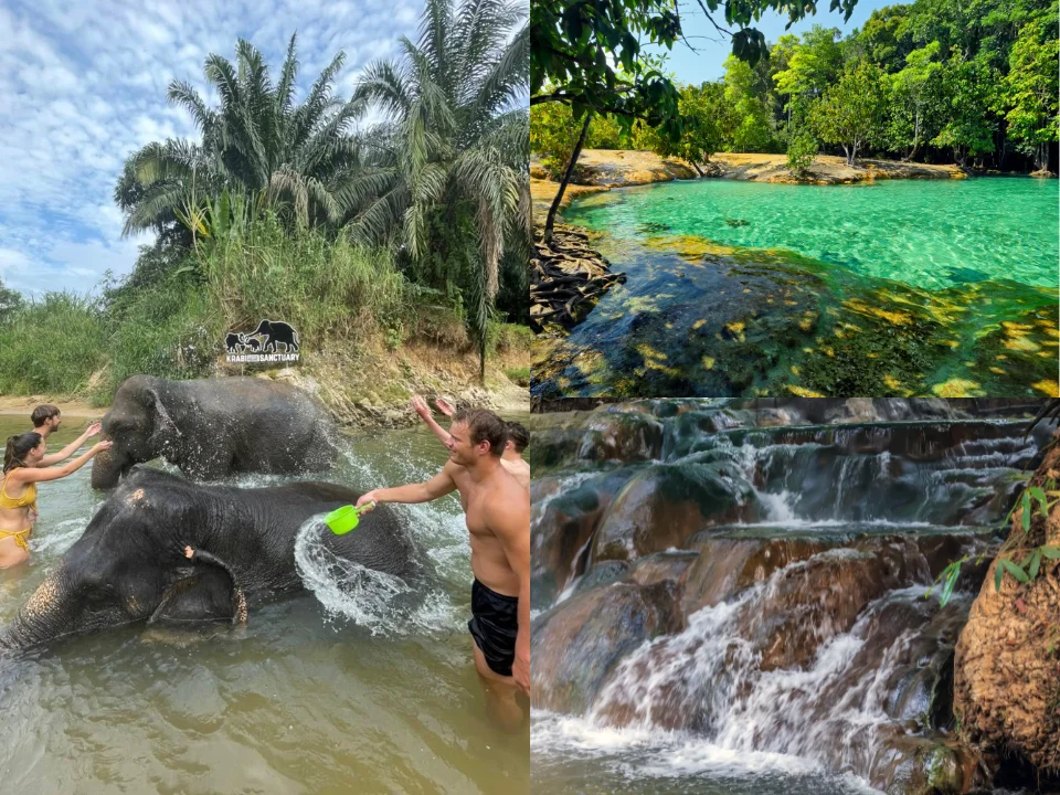 กระบี่-ทัวร์-แคมป์ช้าง-สระมรกต-น้ำตกร้อน-Elephant-House-Sanctuary-2
