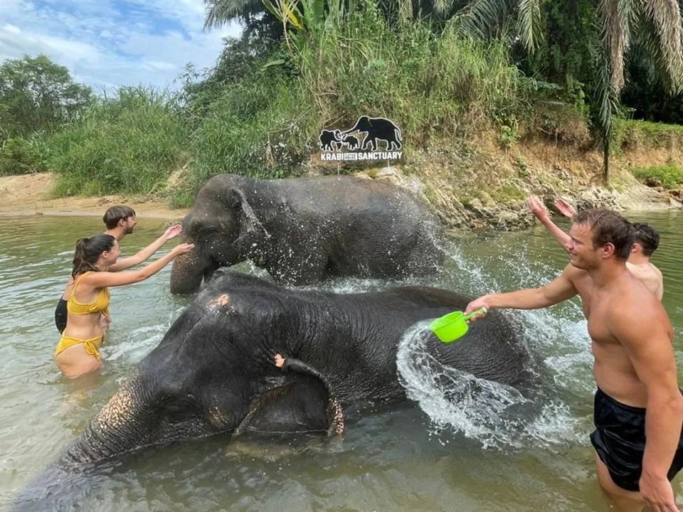 กระบี่-ทัวร์-แคมป์ช้าง-สระมรกต-น้ำตกร้อน-Elephant-House-Sanctuary