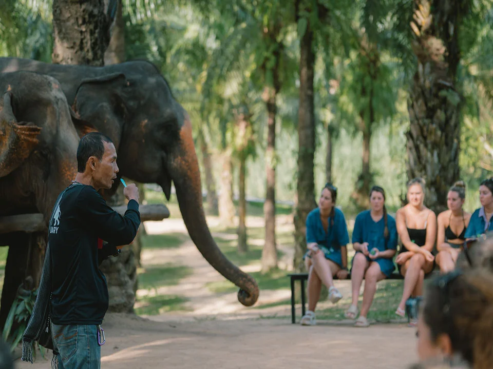 กระบี่-ทัวร์แคมป์ช้าง-ครึ่งวัน-เต็มวัน-ดูแลช้าง-Elephant-House-Sanctuary-13