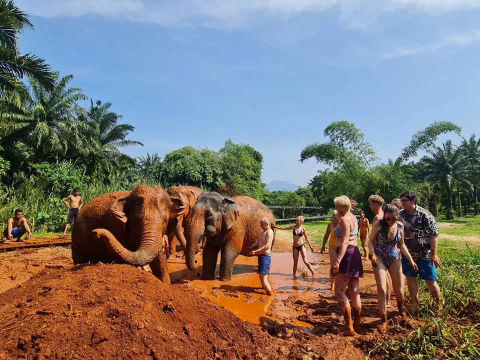 กระบี่-ทัวร์แคมป์ช้าง-ครึ่งวัน-เต็มวัน-ดูแลช้าง-Elephant-House-Sanctuary-15