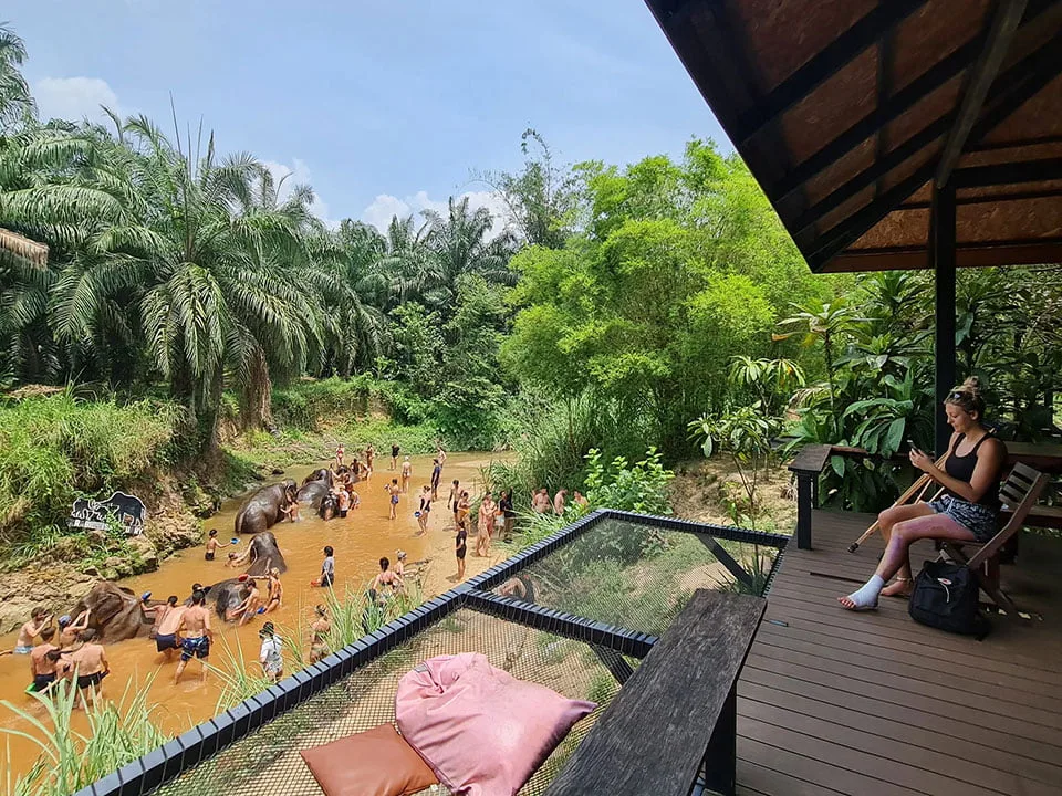 กระบี่-ทัวร์แคมป์ช้าง-ครึ่งวัน-เต็มวัน-ดูแลช้าง-Elephant-House-Sanctuary-3