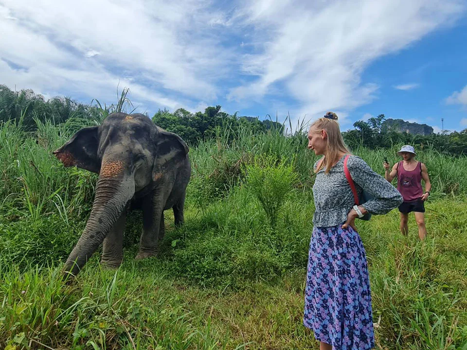 กระบี่-ทัวร์แคมป์ช้าง-ครึ่งวัน-เต็มวัน-ดูแลช้าง-Elephant-House-Sanctuary-6