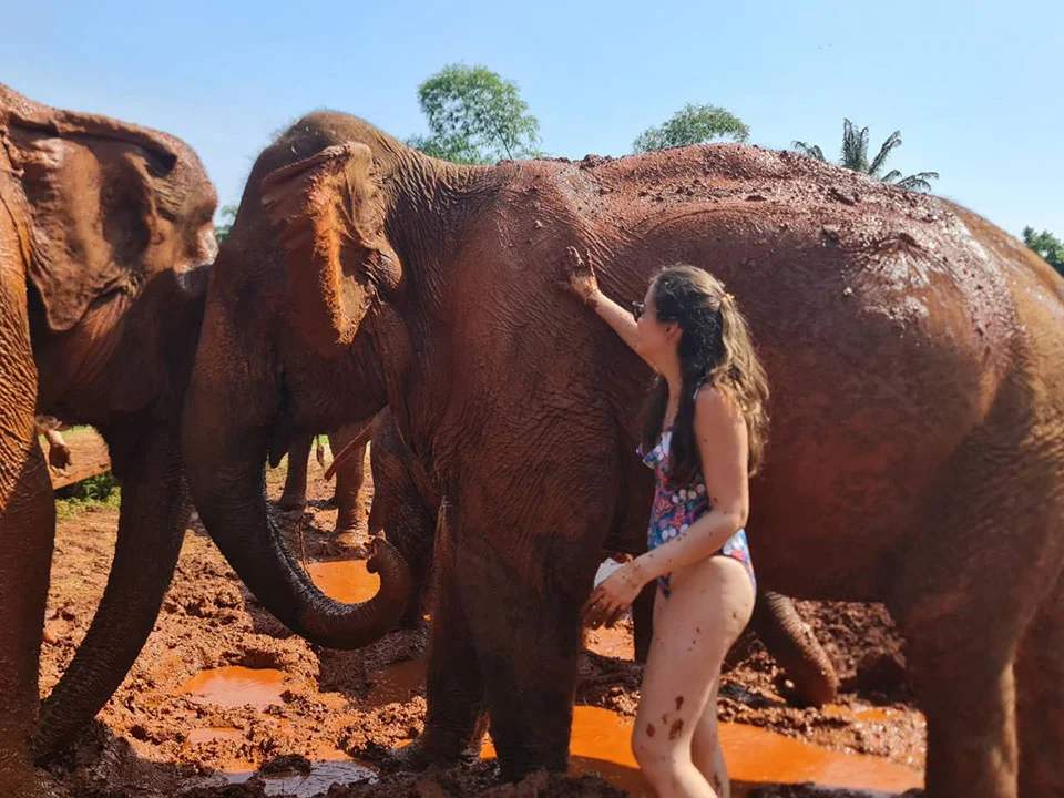 กระบี่-ทัวร์แคมป์ช้าง-ครึ่งวัน-เต็มวัน-ดูแลช้าง-Elephant-House-Sanctuary-7