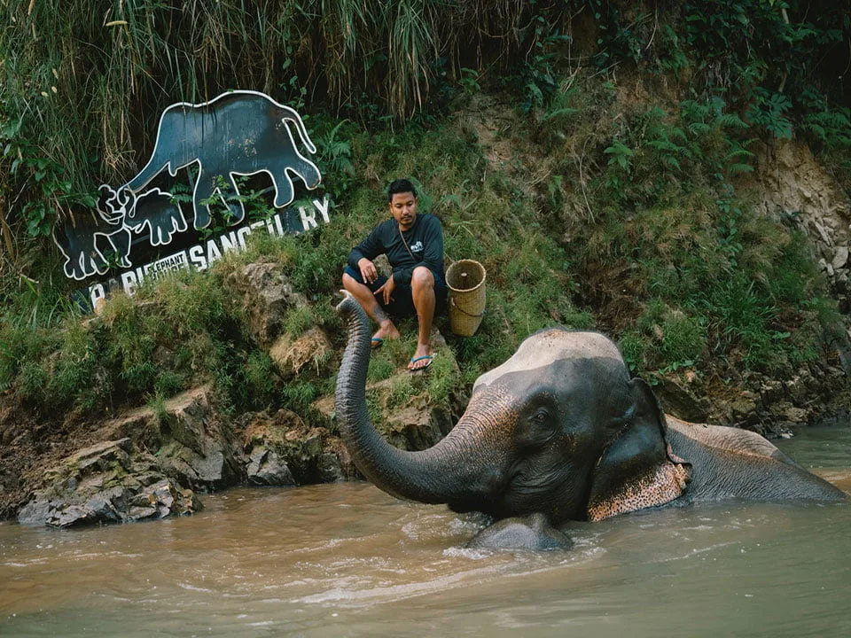 กระบี่-ทัวร์แคมป์ช้าง-ครึ่งวัน-เต็มวัน-ดูแลช้าง-Elephant-House-Sanctuary