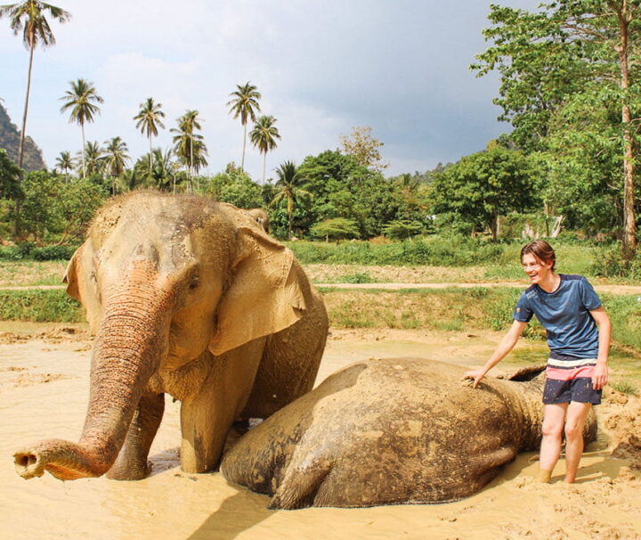 กระบี่-อ่าวนาง-ทัวร์ครึ่งวันปางช้าง-Aonang-Elephant-Sanctuary-2