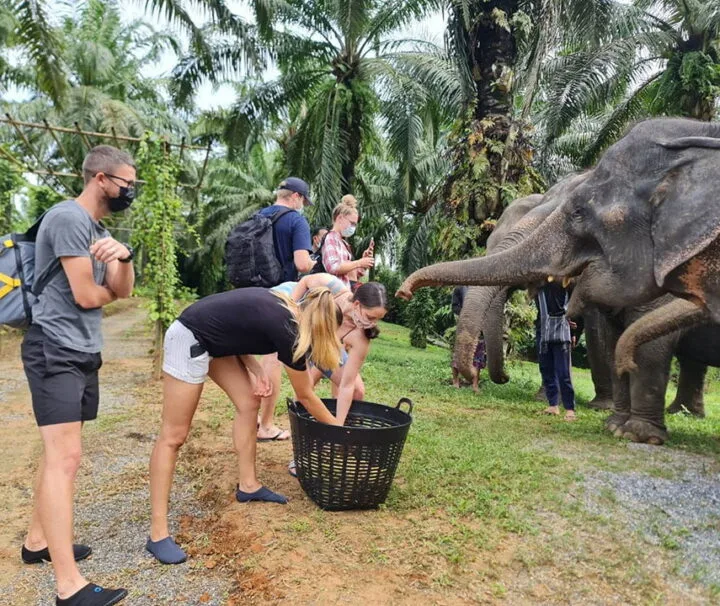 กระบี่-ให้อาหารช้าง-สปาโคลน-อาบน้ำช้าง-Elephant-House-Sanctuary-2