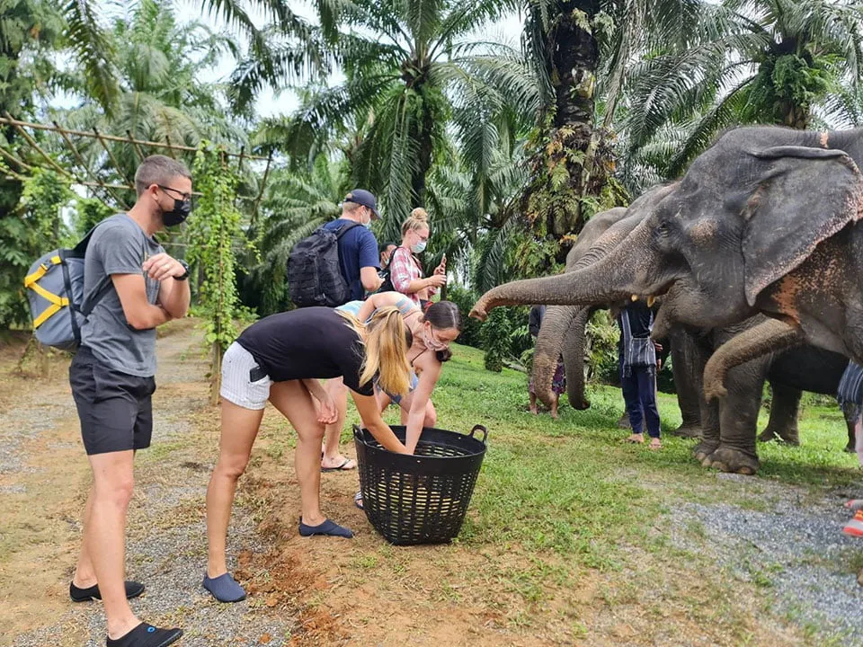 กระบี่-ให้อาหารช้าง-สปาโคลน-อาบน้ำช้าง-Elephant-House-Sanctuary-2