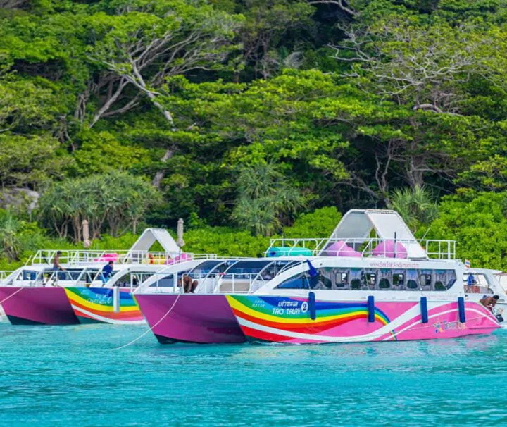 ทัวร์เกาะพีพี-มาหยา-เกาะไผ่-Lazy-Phi-Phi-Bamboo-เรือสปีดคาตามารัน-7