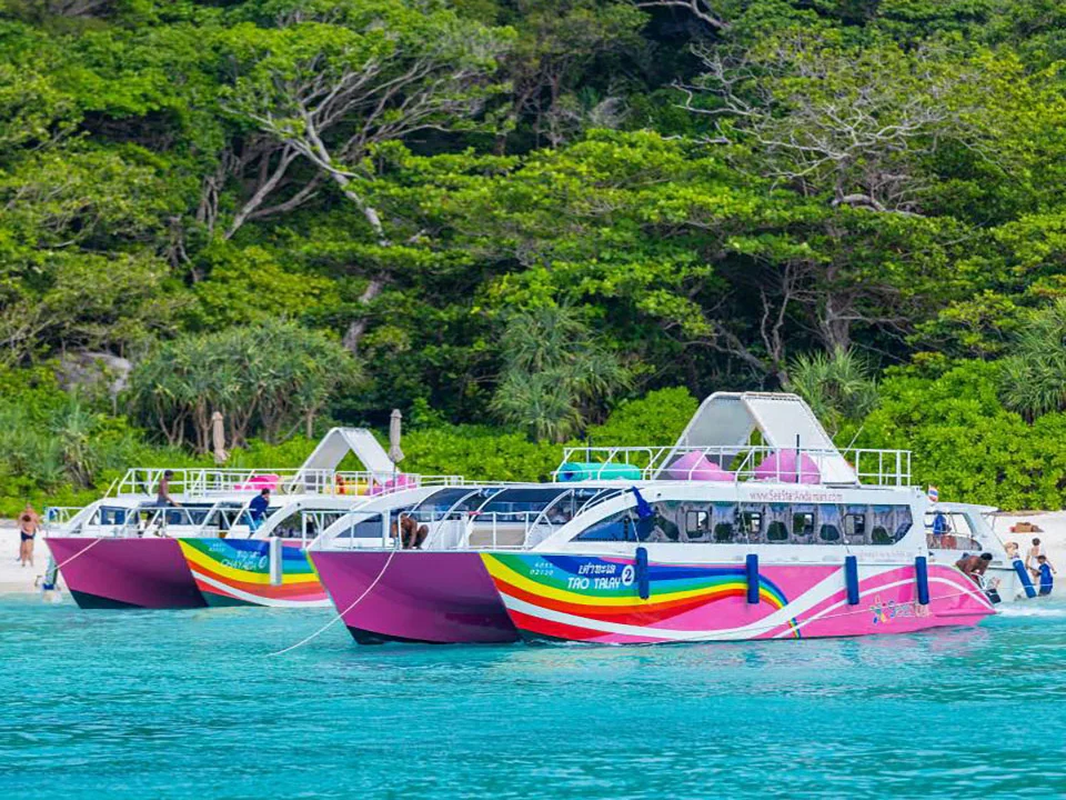 ทัวร์เกาะพีพี-มาหยา-เกาะไผ่-Lazy-Phi-Phi-Bamboo-เรือสปีดคาตามารัน-7