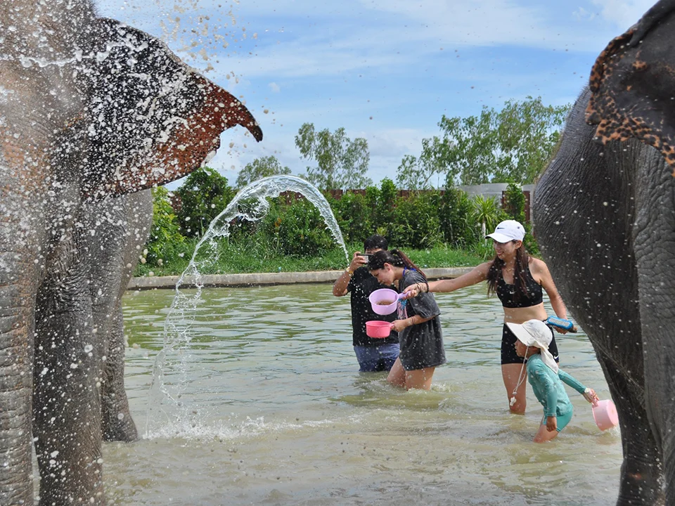 พัทยา-ชลบุรี-ทัวร์อนุรักษ์ช้างครึ่งวัน-Elephant-Jungle-Sanctuary-6