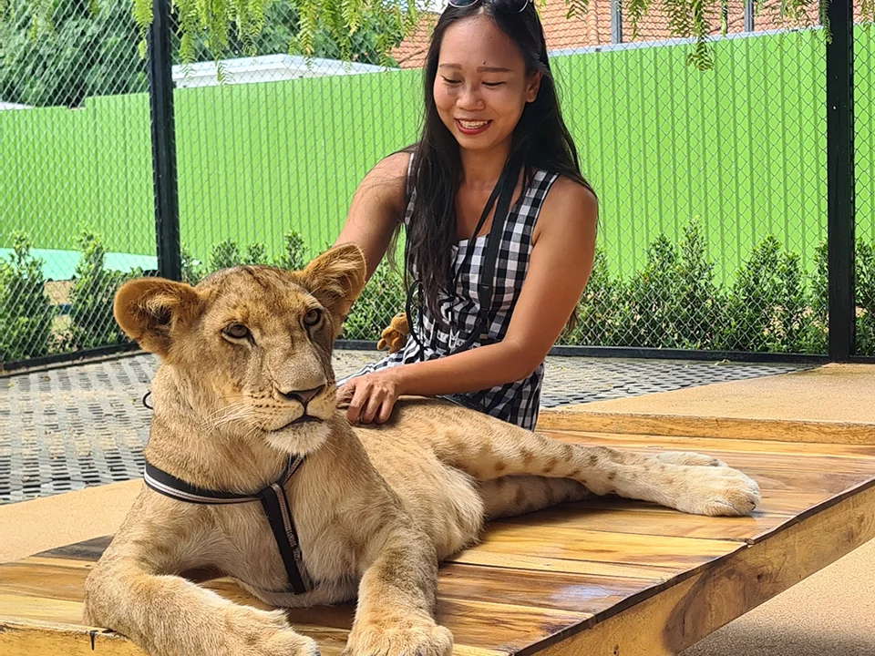 บัตรเข้าชมสวนสิงโต-ภูเก็ต-Lion-Land-Phuket-Park-5