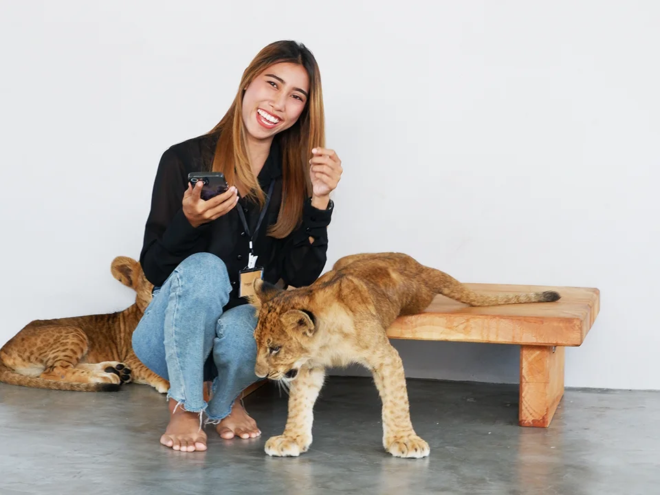 บัตรเข้าชมสวนสิงโต-ภูเก็ต-Lion-Land-Phuket-Park-7