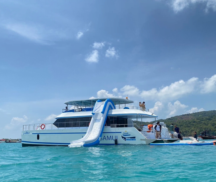 สมุย-ทัวร์ชมโลมา-เกาะหมู-ดำน้ำตื้น-เกาะแตน-โดยเรือ-Catamaran-13