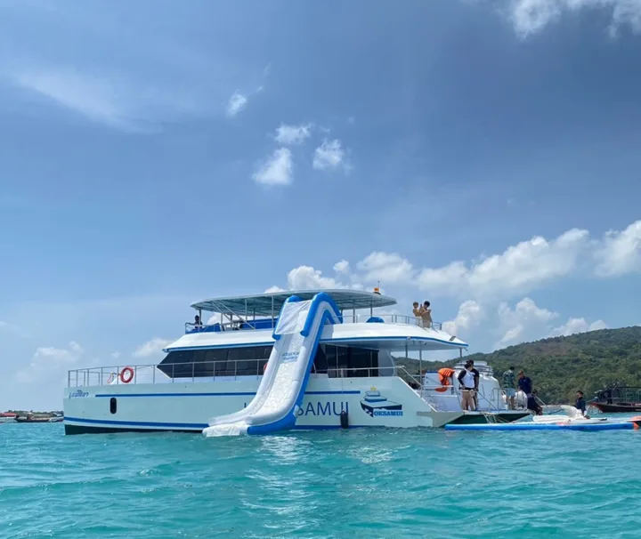 สมุย-ทัวร์ชมโลมา-เกาะหมู-ดำน้ำตื้น-เกาะแตน-โดยเรือ-Catamaran-13