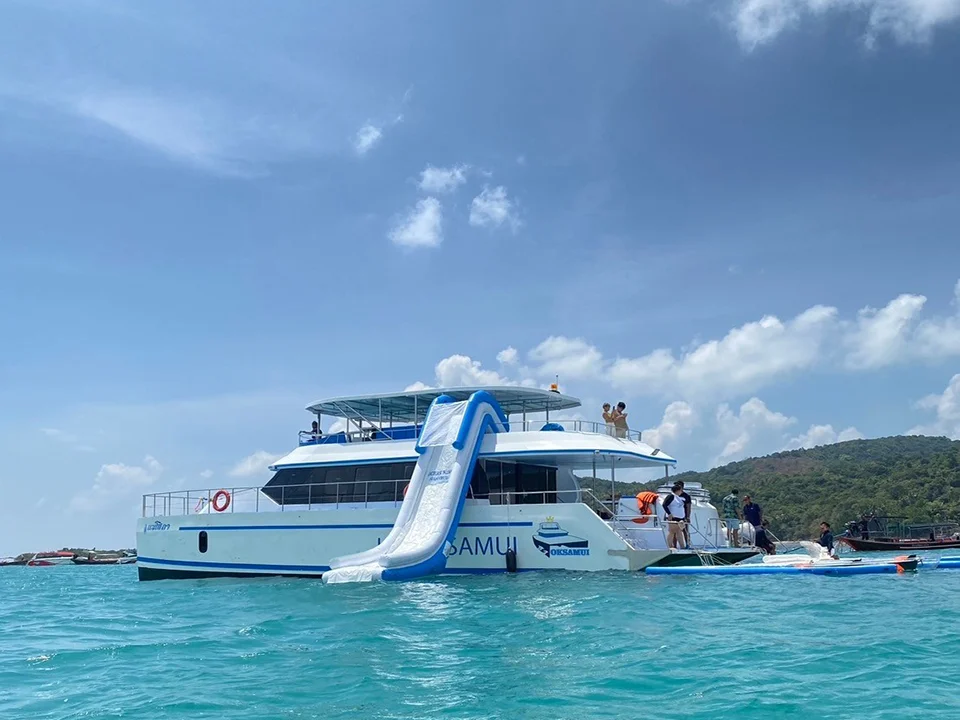 สมุย-ทัวร์ชมโลมา-เกาะหมู-ดำน้ำตื้น-เกาะแตน-โดยเรือ-Catamaran-13