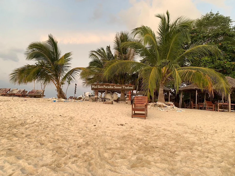 สมุย-ทัวร์ชมโลมา-เกาะหมู-ดำน้ำตื้น-เกาะแตน-โดยเรือ-Catamaran-17