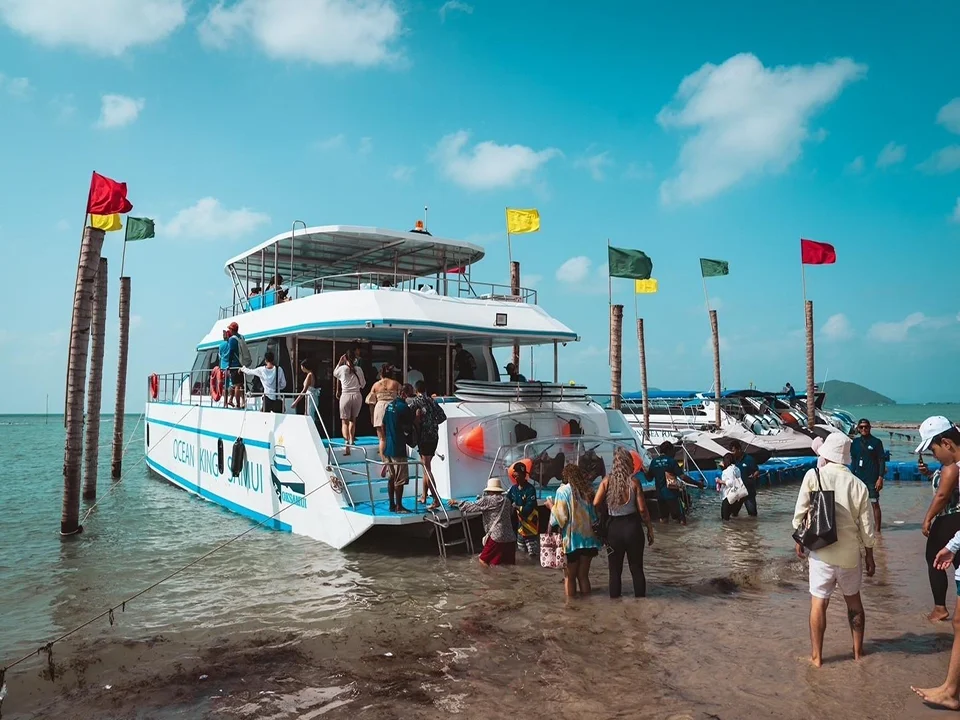 สมุย-ทัวร์ชมโลมา-เกาะหมู-ดำน้ำตื้น-เกาะแตน-โดยเรือ-Catamaran-20