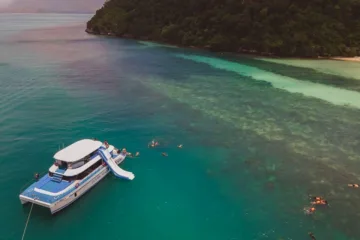 สมุย-ทัวร์ชมโลมา-เกาะหมู-ดำน้ำตื้น-เกาะแตน-โดยเรือ-Catamaran-4