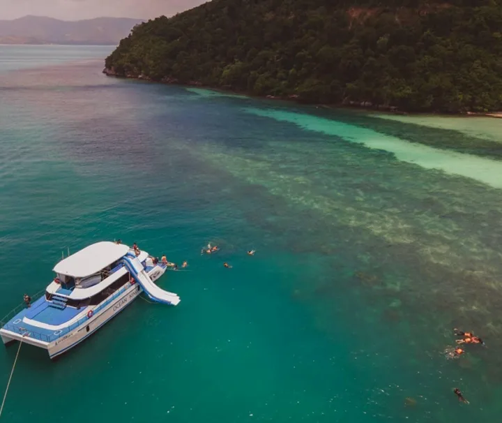 สมุย-ทัวร์ชมโลมา-เกาะหมู-ดำน้ำตื้น-เกาะแตน-โดยเรือ-Catamaran-4