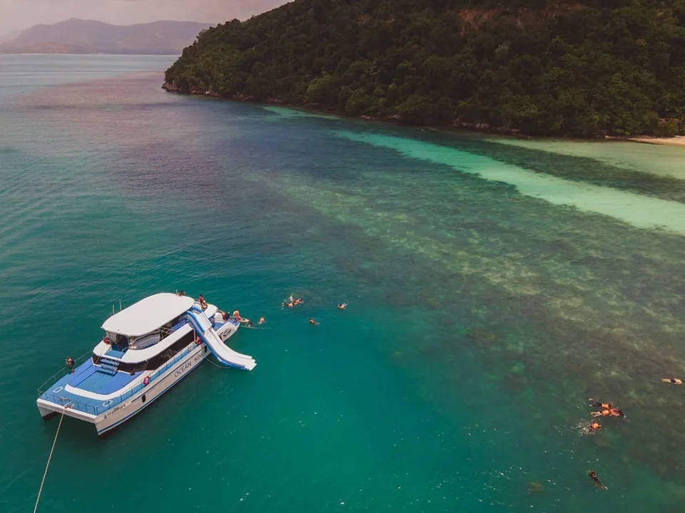 สมุย-ทัวร์ชมโลมา-เกาะหมู-ดำน้ำตื้น-เกาะแตน-โดยเรือ-Catamaran-4