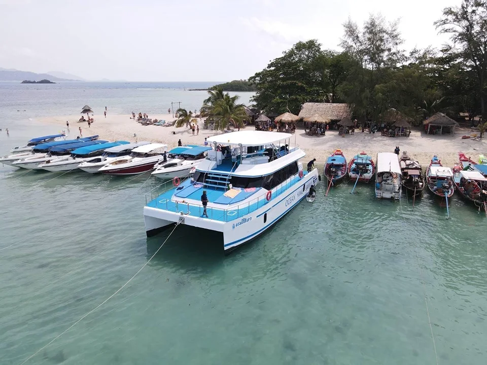 สมุย-ทัวร์ชมโลมา-เกาะหมู-ดำน้ำตื้น-เกาะแตน-โดยเรือ-Catamaran-5
