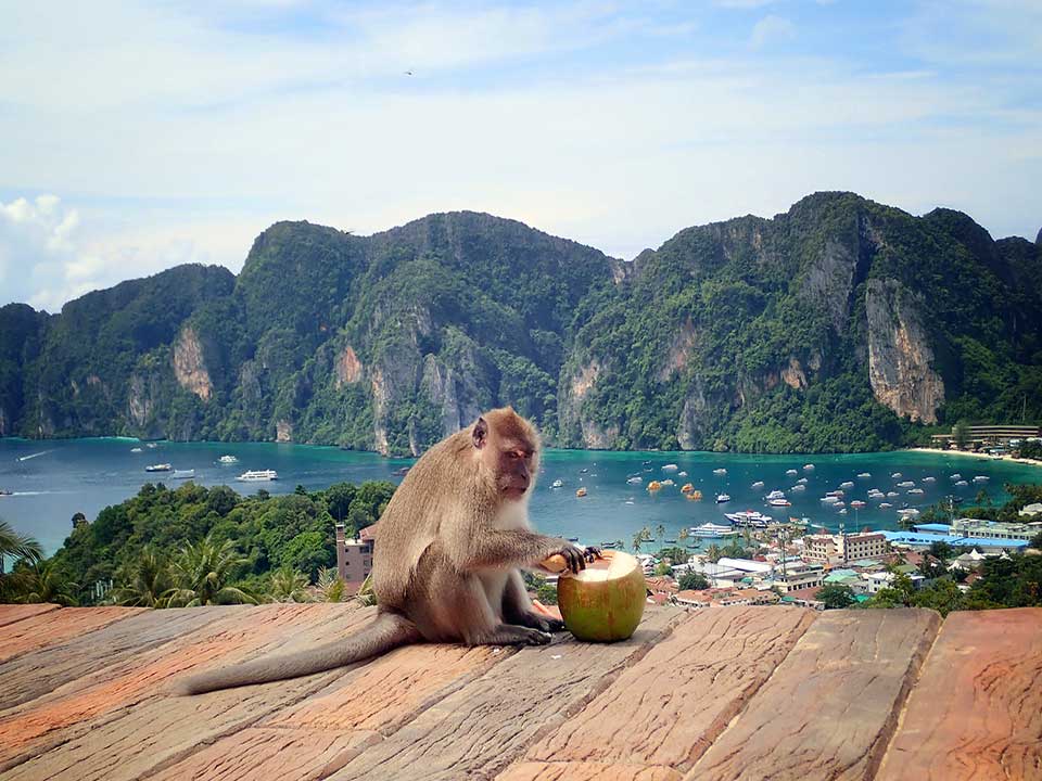 ทัวร์พรีเมี่ยม-Early-Bird-เกาะพีพี-อ่าวมาหยา-เกาะไผ่-เรือเร็ว-Speedboat-7