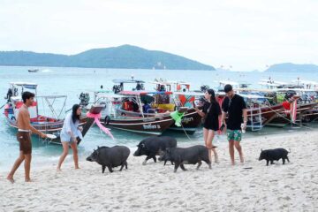 บริการเช่าเหมาลำเรือหางยาว-ครึ่งวัน-3-เกาะ-เกาะแตน-เกาะมัดสุม-เกาะราบ