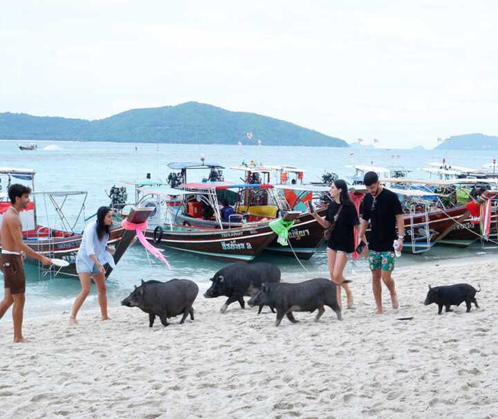 บริการเช่าเหมาลำเรือหางยาว-ครึ่งวัน-3-เกาะ-เกาะแตน-เกาะมัดสุม-เกาะราบ