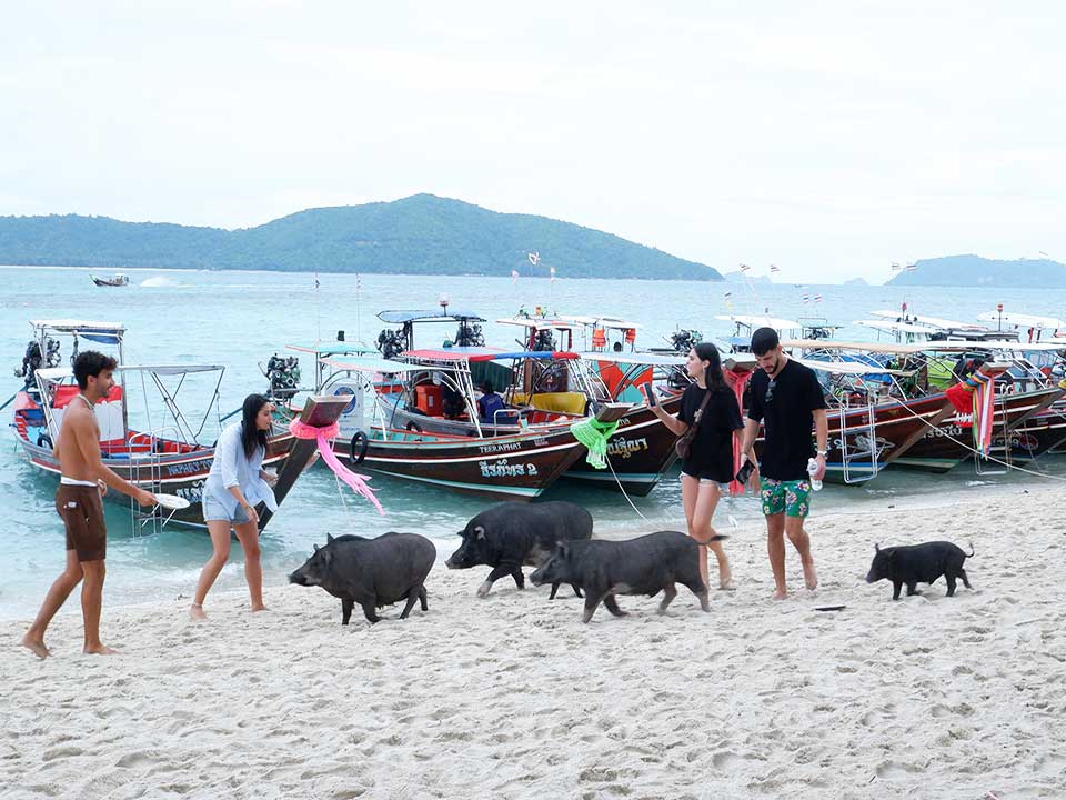 บริการเช่าเหมาลำเรือหางยาว-ครึ่งวัน-3-เกาะ-เกาะแตน-เกาะมัดสุม-เกาะราบ